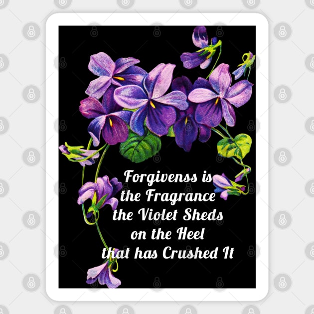 Forgivenss is the Fragrance Magnet by Gear 4 U